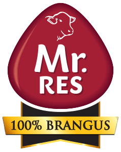 Mr. Res Mr. Res
