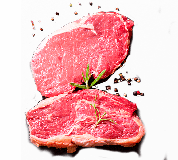 Proteína bovina Proteína bovina