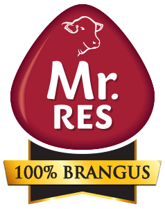 Mr. Res